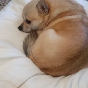 Meet your Posher, Catherine